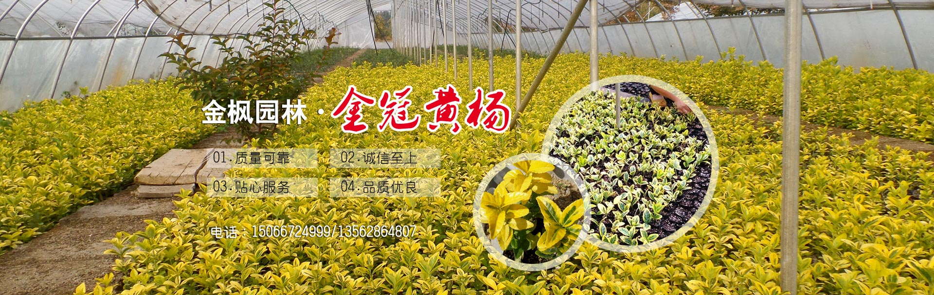 佳琦環(huán)保簡(jiǎn)介 佳琦環(huán)保簡(jiǎn)介